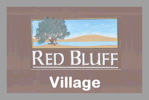 Red Bluff Village new home community in Loris, SC